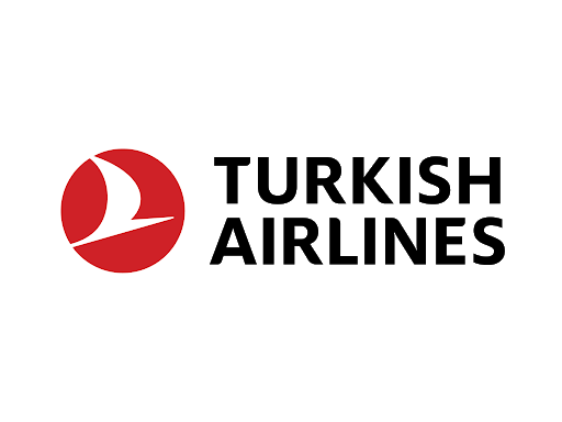 航空公司标志设计
